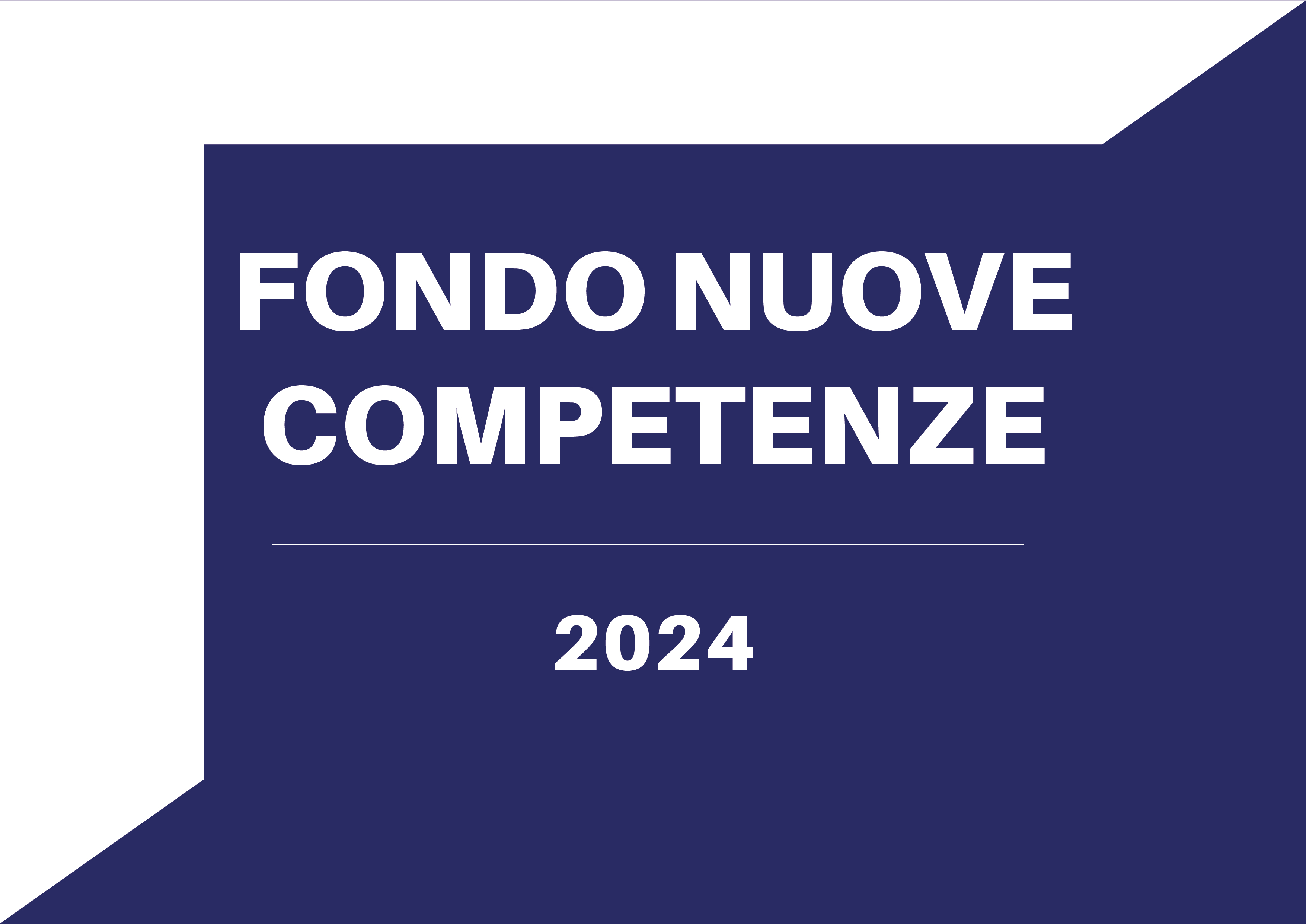 FONDO NUOVE COMPETENZE 3: COMPETENZE PER LE INNOVAZIONI